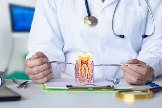 Best Weekend Emergency Dentist in Mccord, OK